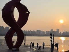 -天鹅湖体育公园