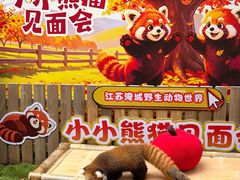 -常州淹城野生动物世界