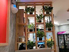 -叁拾壹克饺子·东北菜(国贸店)