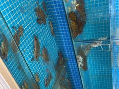 水产区-蚝门海鲜烧烤大排档(高新路店)