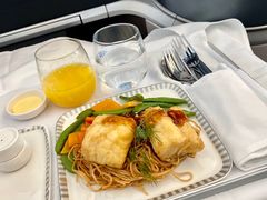 -新加坡航空公司(ION)
