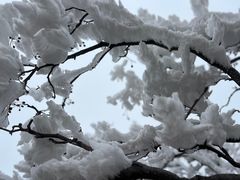 -崂山巨峰游览区