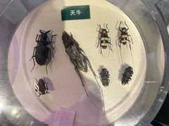 -陕西自然博物馆