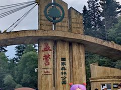 -五营红松林海景区