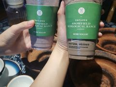 -茉酸奶(高科山姆店)