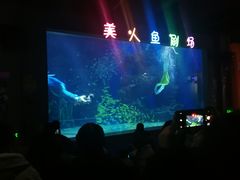 -邯郸海洋世界