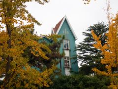 -八大关景区