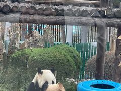 -大连森林动物园