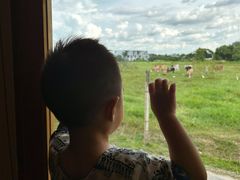 -Chom Cafe and Restaurant