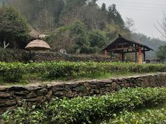 -常德桃花源景区