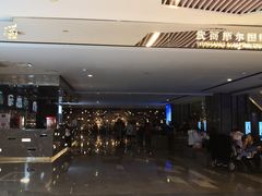 -武商摩尔影城(国广IMAX激光店)