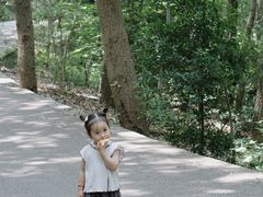 -紫金山山顶公园