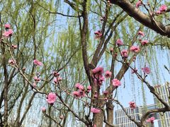 -元大都城垣遗址公园