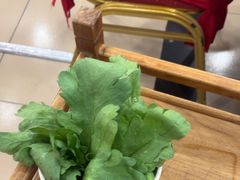 -芦月轩羊蝎子(北蜂窝店)