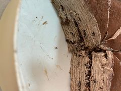 -盒马鲜生(杭州萧山万象汇店)