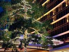 -拉斯维加斯永利酒店