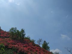 -木兰云雾山