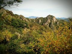 -大岭沟猕猴桃谷风景区