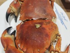 -星伦多 自助料理(圆融店)