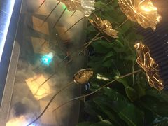 -尚尚仙·酸汤猪手·猪肚鸡火锅(华联万柳购物中心店)