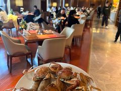 -以岭健康城·凯旋门大酒店-怡梦音乐西餐厅