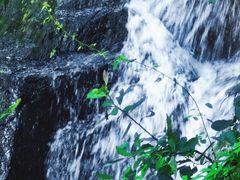 -清源山美食·云顶文化创意园
