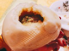 -丁老爷子苏香圆