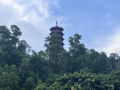 -红花山公园