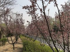 -廊坊市自然公园