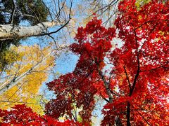 -长春市南湖公园