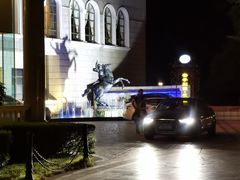 -上海安亭别墅花园酒店