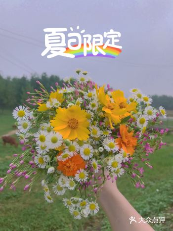 长沙周末好去处～小众漂亮的拍照胜地