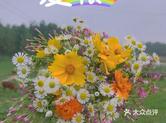 长沙周末好去处～小众漂亮的拍照胜地