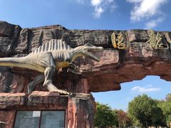 -上海海湾国家森林公园