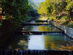 -广州白江湖森林公园