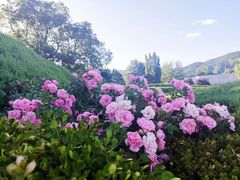 -国家植物园
