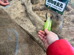 -龙湖南京江北天街