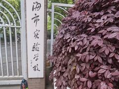 -上海市实验学校