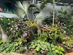 -北京植物园-展览温室