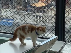 -怪兽屋·羊驼·猫咖·狗咖(俊华广场店)