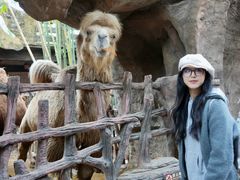 -长鹿旅游休博园