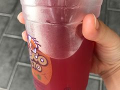 -喀斯特杨梅汤(荔波美食街店)