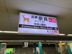 -奈良公园