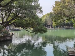 -西溪国家湿地公园