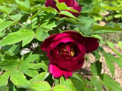 -合肥三国新城遗址公园