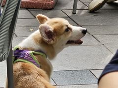 -Wagas沃歌斯(大学路店)