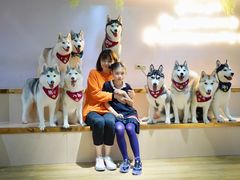 -Husky Go! 哈士奇体验馆·宠物咖啡厅狗咖