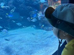 -海合安成都极地海洋公园