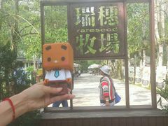 android_upload_pic-瑞穗牧场