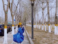 -东郊湿地公园